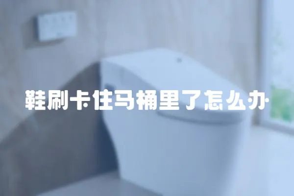 鞋刷卡住馬桶里了怎么辦