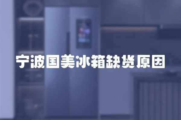 寧波國美冰箱缺貨原因
