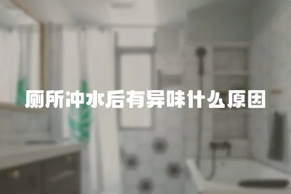 廁所沖水后有異味什么原因