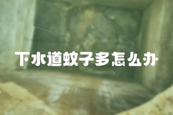 下水道蚊子多怎么辦