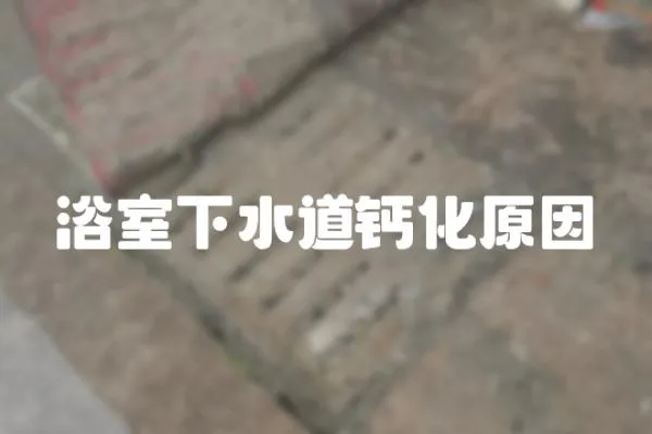 浴室下水道鈣化原因