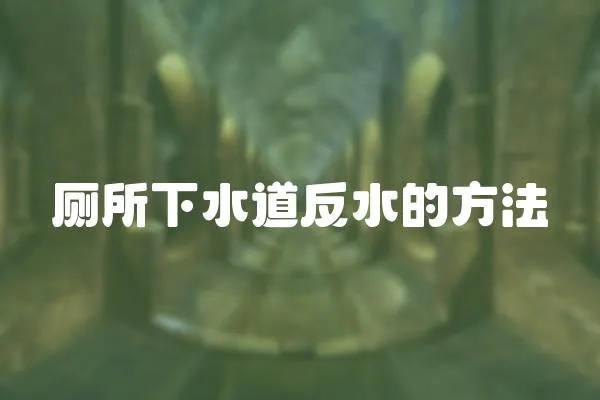 廁所下水道反水的方法