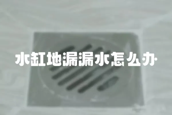 水缸地漏漏水怎么辦
