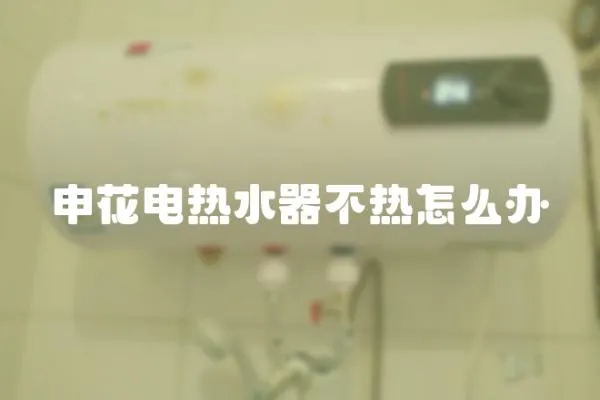 申花電熱水器不熱怎么辦