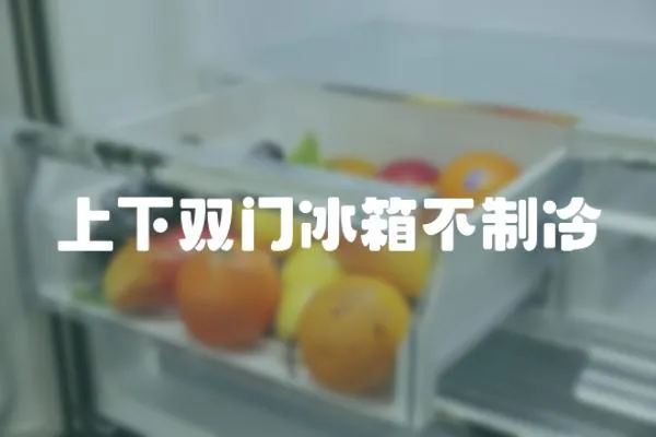 上下雙門冰箱不制冷