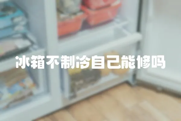 冰箱不制冷自己能修嗎