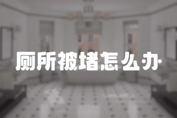 廁所被堵怎么辦