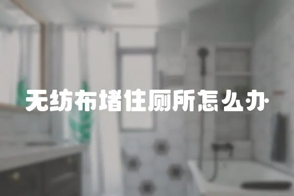 無紡布堵住廁所怎么辦