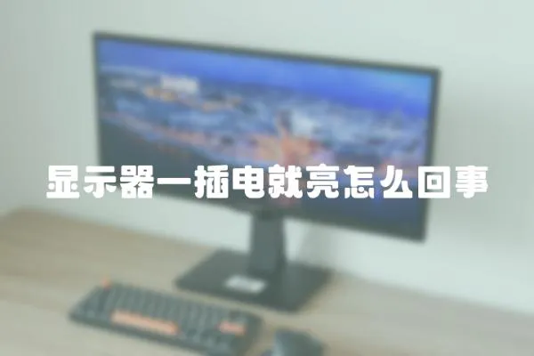 顯示器一插電就亮怎么回事