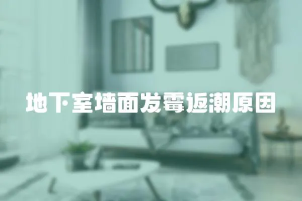 地下室墻面發(fā)霉返潮原因