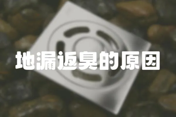 地漏返臭的原因