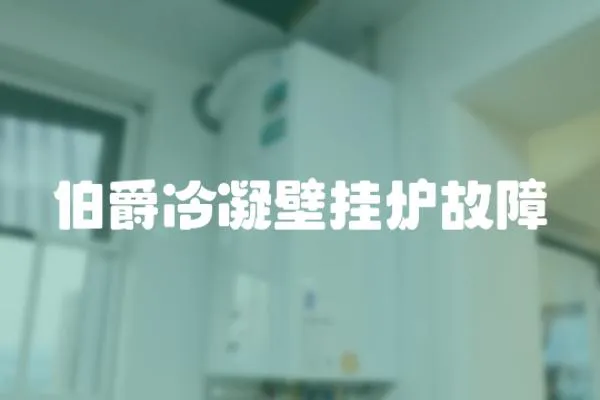 伯爵冷凝壁掛爐故障