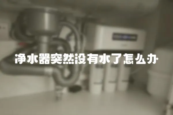 凈水器突然沒有水了怎么辦
