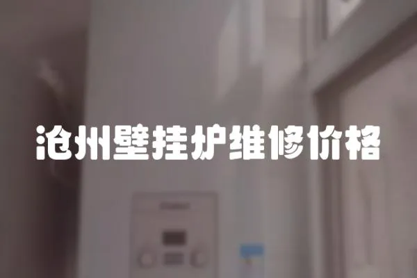 滄州壁掛爐維修價格