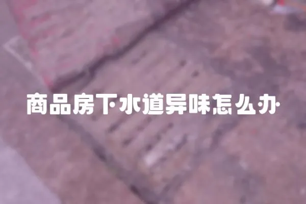 商品房下水道異味怎么辦