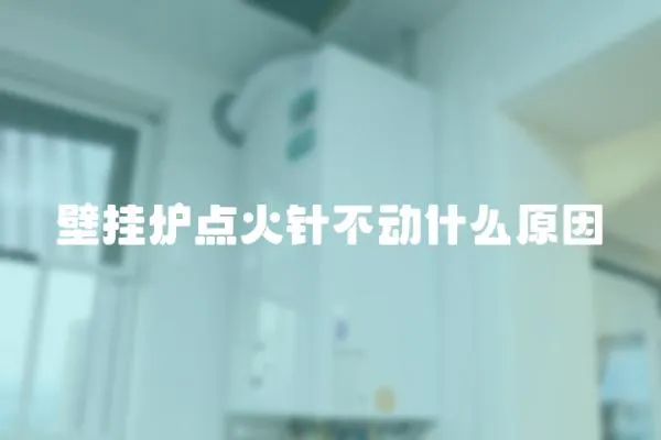 壁掛爐點火針不動什么原因