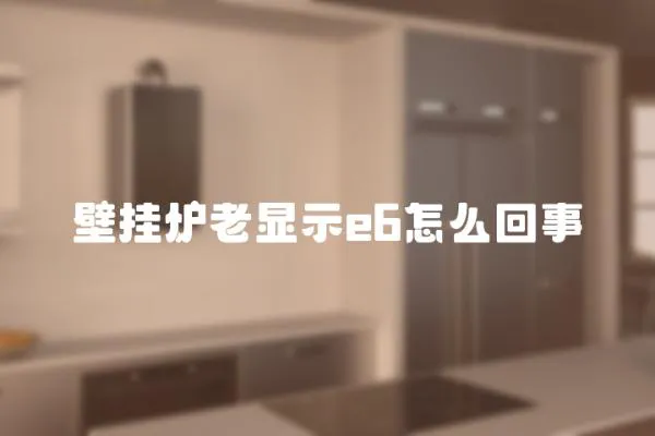 壁掛爐老顯示e6怎么回事