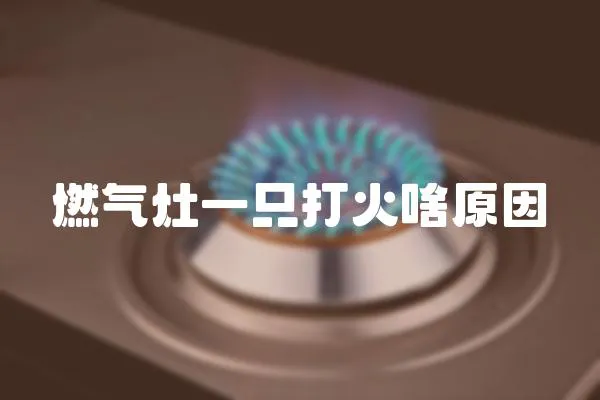 燃氣灶一只打火啥原因