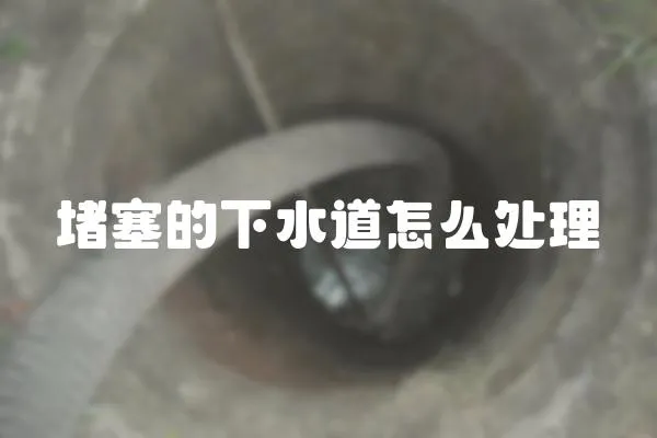 堵塞的下水道怎么處理