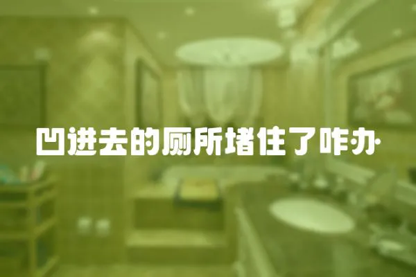 凹進(jìn)去的廁所堵住了咋辦