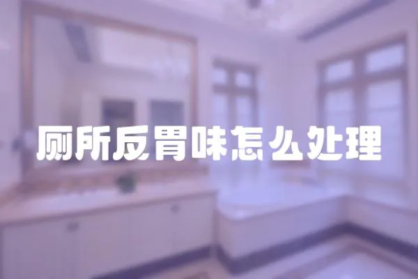 廁所反胃味怎么處理