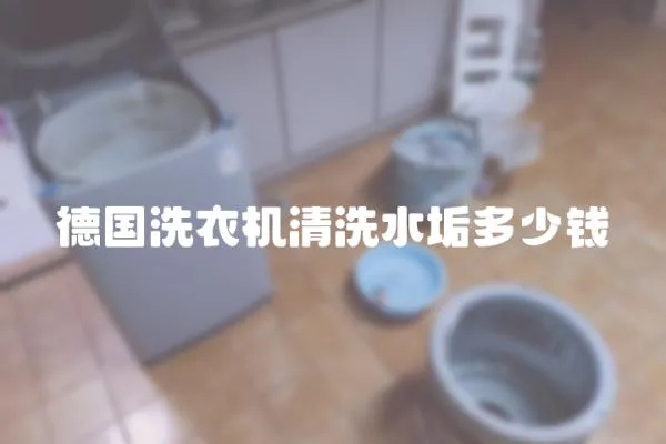 德國洗衣機清洗水垢多少錢