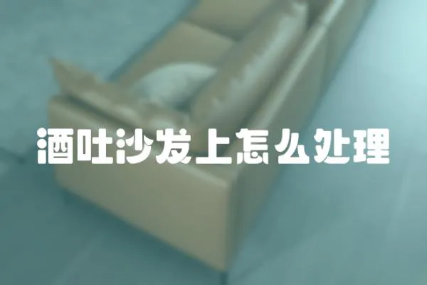 酒吐沙發上怎么處理
