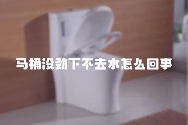 馬桶沒勁下不去水怎么回事