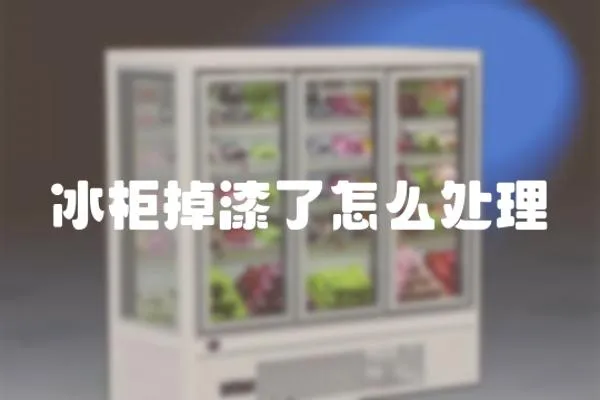 冰柜掉漆了怎么處理