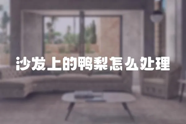 沙發(fā)上的鴨梨怎么處理