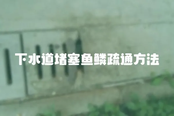 下水道堵塞魚鱗疏通方法