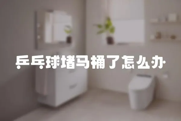 乒乓球堵馬桶了怎么辦