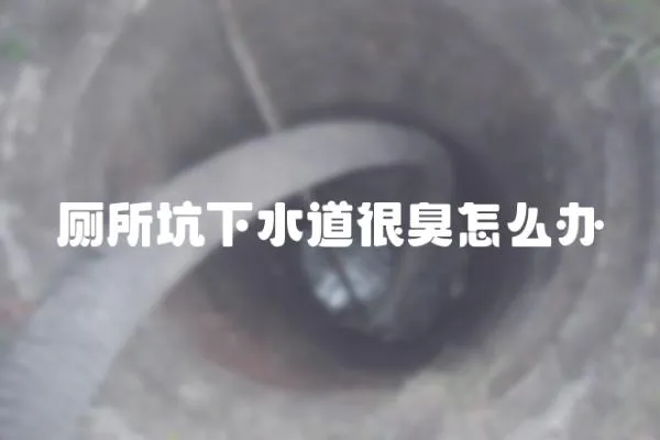 廁所坑下水道很臭怎么辦