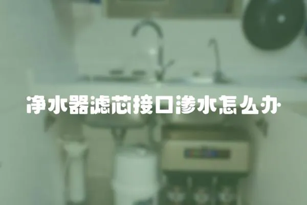 凈水器濾芯接口滲水怎么辦
