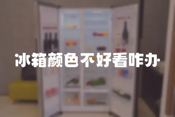 冰箱顏色不好看咋辦