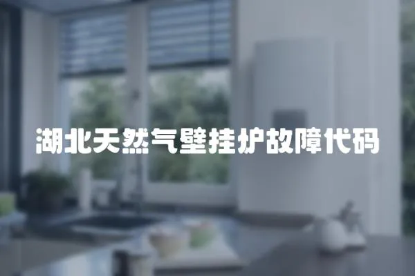 湖北天然氣壁掛爐故障代碼
