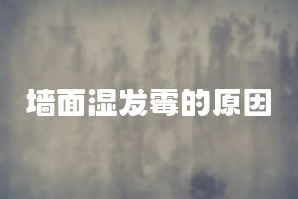 墻面濕發霉的原因