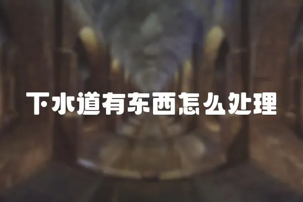下水道有東西怎么處理