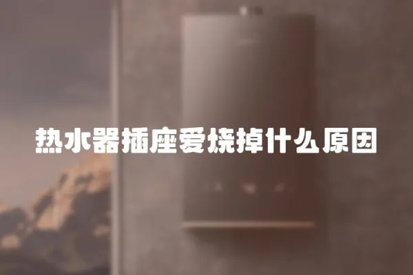 熱水器插座愛燒掉什么原因