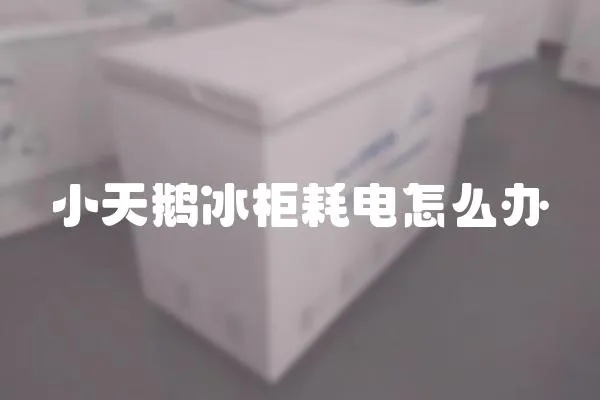 小天鵝冰柜耗電怎么辦