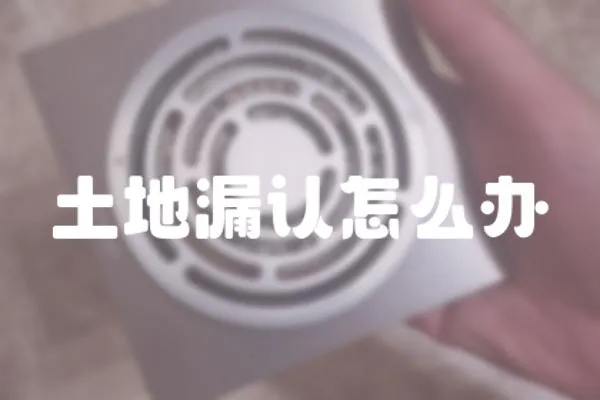 土地漏認怎么辦