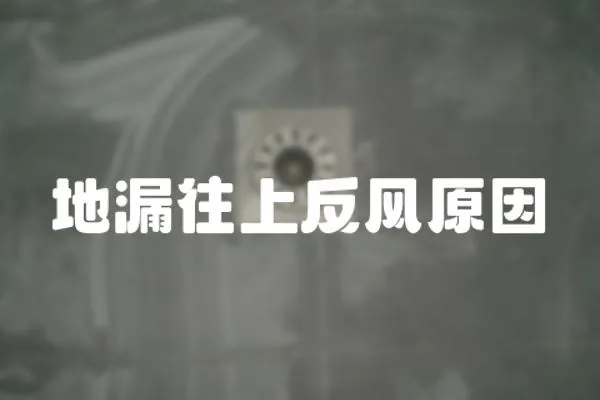 地漏往上反風原因