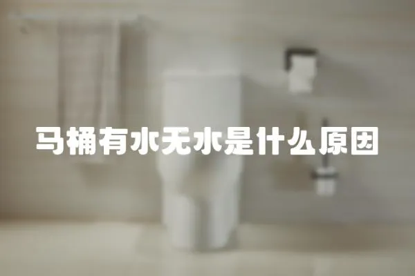 馬桶有水無(wú)水是什么原因