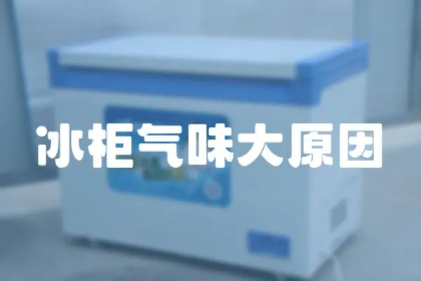 冰柜氣味大原因