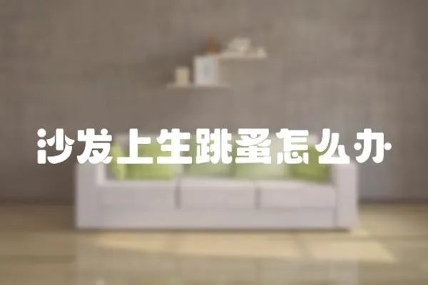 沙發(fā)上生跳蚤怎么辦