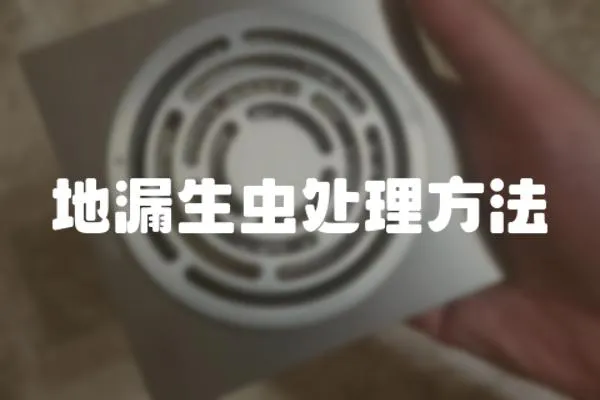 地漏生蟲處理方法