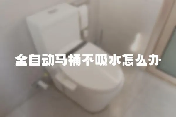 全自動馬桶不吸水怎么辦