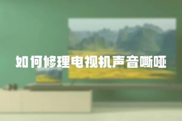 如何修理電視機聲音嘶啞