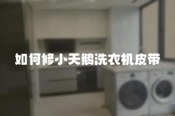 如何修小天鵝洗衣機皮帶