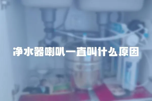 凈水器喇叭一直叫什么原因